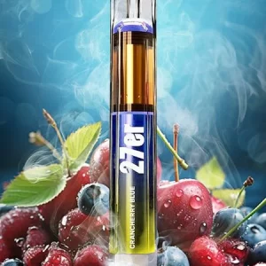 27er Vape 800 - Crancherry Blue - Einweg E-Shisha